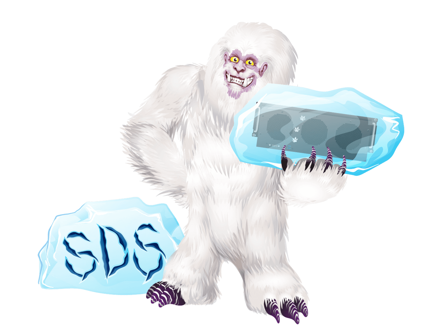 Storage SDS Sasquatch