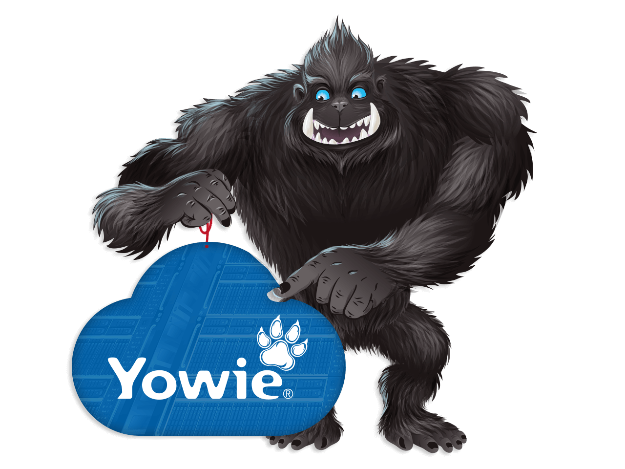 Appliance Yowie